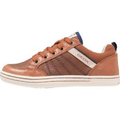 Buty sportowe chłopięce: Geox GARCIA BOY Tenisówki i Trampki wysokie cognac/navy