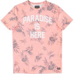 Cars-Jeans Koszulka męska Paradise 4014764 Coral (rozmiar L). Koszulki męskie Cars Jeans, m, z nadrukiem, z jeansu, bez kołnierzyka, bez rękawów. W wyprzedaży za 65,00 zł.