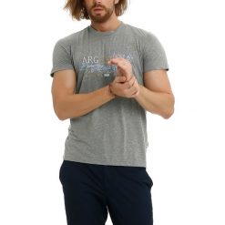 T-shirty męskie z nadrukiem: T-shirt w kolorze szarym