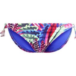 Stroje dwuczęściowe damskie: Cyell Dół od bikini macaw