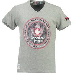 T-shirty męskie: Koszulka „Jimothe” w kolorze szarym