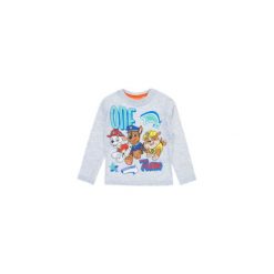 T-shirt długi rękaw chłopięcy z printem Psi Patrol. Szare t-shirty chłopięce z nadrukiem marki TXM, z bawełny, z długim rękawem. Za 13,59 zł.