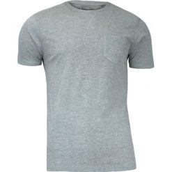 Szary T-Shirt (Koszulka) z Kieszonką, Bez Nadruku - Brave Soul, Męski TSBRSSS16ARKHAMGREY. Szare koszulki męskie na lato, m, z nadrukiem, z bawełny, casualowe. Za 29,00 zł.