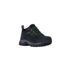 Buty sportowe męskie: Buty do biegania Salomon EVASION 2 GTX