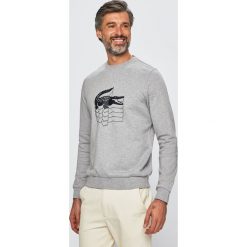 Lacoste - Bluza. Szare bluzy męskie Lacoste, xl, z nadrukiem, z bawełny, z okrągłym kołnierzem, bez rękawów, bez kaptura. W wyprzedaży za 299,90 zł.