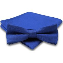 Niebieska Mucha w Delikatny Wzór Paisley + Taka Sama Poszetka, Męska MUALTS0067. Niebieskie muszki męskie Alties, na imprezę, w paski, eleganckie. Za 40,00 zł.