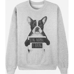 Bluza "Being normal is boring" w kolorze szarym. Szare bluzy damskie Wooop, xl, bez wzorów, bez rękawów, bez kaptura. W wyprzedaży za 87,95 zł.