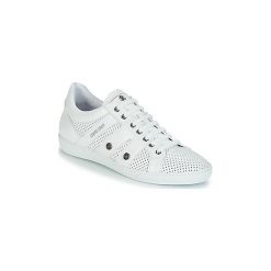 Trampki męskie: Buty Roberto Cavalli 4255