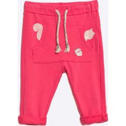Blukids - Spodnie dzięcięce 68-98 cm. Pomarańczowe spodnie dziewczęce Blukids, bez wzorów, z elastanu, casualowe. W wyprzedaży za 24,90 zł.