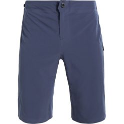 Patagonia DIRT RAMER SHORT Krótkie spodenki sportowe dolomite blue. Niebieskie spodenki sportowe męskie marki Patagonia, z elastanu, sportowe. Za 419,00 zł.