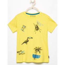 T-shirty chłopięce: T-shirt z tropikalnym nadrukiem – Zielony