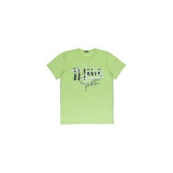 T-shirty męskie: t-shirt męski z printem