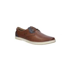 Derby Enzo PÓŁBUTY 594. Brązowe derby męskie Enzo. Za 179,99 zł.