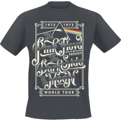 Pink Floyd Dark Side Of The Moon Typography T-Shirt ciemnoszary. Szare t-shirty męskie marki Pink Floyd, s. Za 74,90 zł.
