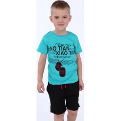 T-shirt chłopięcy z nadrukiem miętowy NDZ4489. Zielone t-shirty chłopięce Fasardi, z nadrukiem, bez rękawów. Za 39,00 zł.