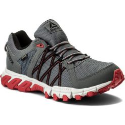 Buty sportowe męskie: Buty Reebok – Trailgrip Rs 5.0 Gtx GORE-TEX CN0831 Alloy/Grey/Black