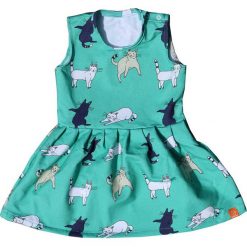 Sukienki dziewczęce: Sukienka Blue Cats