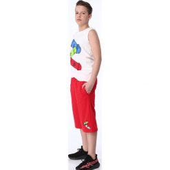 Komplet chłopięcy koszulka ze spodenkami NDZ8393. Szare t-shirty chłopięce marki Fasardi, bez wzorów, bez rękawów. Za 69,00 zł.