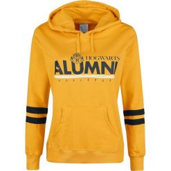 Harry Potter Hufflepuff Bluza z kapturem damska żółty. Żółte bluzy z kapturem damskie marki Mohito, l, z dzianiny. Za 199,90 zł.