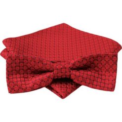 Czerwona Mucha w Drobną Kratkę + Poszetka, Męska MUALTS0094. Czerwone muszki męskie Alties, na imprezę, w paski, eleganckie. Za 40,00 zł.