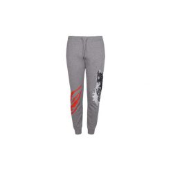 Spodnie treningowe Roberto Cavalli HYX35P FN035. Szare spodnie męskie Roberto Cavalli, xl, bez wzorów. Za 299,00 zł.