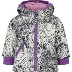 Kurtka zimowa "Lucca Leopard" w kolorze szaro-fioletowym. Szare kurtki niemowlęce Racoon, bez wzorów, z polaru, bez kaptura. W wyprzedaży za 235,95 zł.