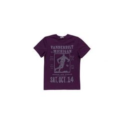 T-shirty męskie: t-shirt męski gładki