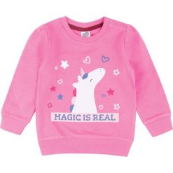 TXM BLUZA NIEMOWLĘCA DZIEWCZĘCA 98 RÓŻOWY. Różowe bluzy niemowlęce TXM, bez wzorów, bez rękawów, bez kaptura. Za 14,99 zł.