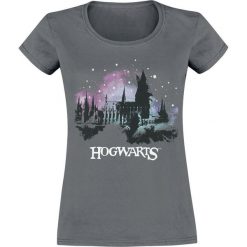 Harry Potter Hogwarts Koszulka damska szary. Szare t-shirty damskie marki Harry Potter, l. Za 74,90 zł.