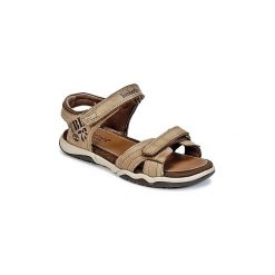 Buty sportowe chłopięce: Sandały sportowe Dziecko Timberland OAK BLUFFS LEATHER 2STRAP