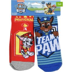 Skarpetki antypoślizgowe (2 pary) "Paw Patrol" w kolorze czerwono-niebieskim. Czerwone skarpetki chłopięce Paw Patrol, Disney, Star Wars & Co., bez wzorów, prążkowane. W wyprzedaży za 15,95 zł.