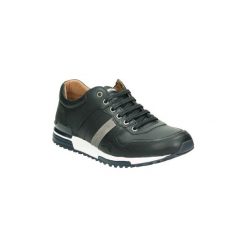 Tenisówki męskie: Buty Kangaroos 641-11
