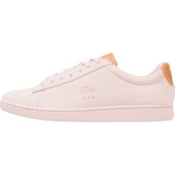 Trampki męskie: Lacoste CARNABY EVO Tenisówki i Trampki light pink