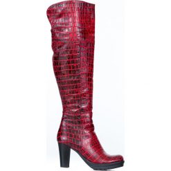 Kozaki za kolano z tłoczeniem - skóra naturalna - model 185 - kolor czarno-czerwony krokodyl. Czerwone kozaki damskie Zapato, na zimę, z dzianiny, klasyczne, na wysokim obcasie. W wyprzedaży za 393,75 zł.
