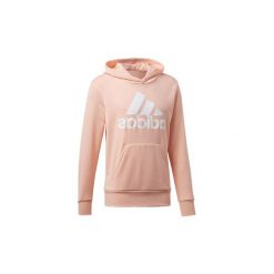 Bluzy męskie: Bluzy adidas Bluza z kapturem Essentials Linear Pullover