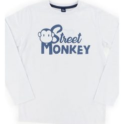 Koszulka w kolorze szarym. Szare t-shirty chłopięce z długim rękawem Street Monkey, z nadrukiem, z bawełny. W wyprzedaży za 32,95 zł.