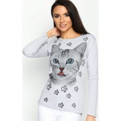 Bluzki damskie: Szara Bluzka Sweet Kitty