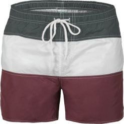 Krótkie spodenki męskie w paski Recea. Spodenki i szorty męskie Recea, xxl, w paski, krótkie. Za 29,99 zł.