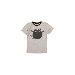 T-shirty chłopięce z krótkim rękawem: t-shirt krótki rękaw chłopięcy gładki, z printem