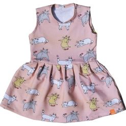 Sukienki dziewczęce: Sukienka Pink Cats