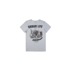 T-shirt krótki rękaw męski z printem. Szare t-shirty męskie marki TXM, m. Za 14,99 zł.