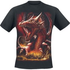 T-shirty męskie z nadrukiem: Spiral Awake the Dragon T-Shirt czarny
