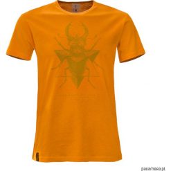 T-shirt gentelMęski METAMORPHOSIS AURIS. T-shirty męskie Pakamera, m, bez wzorów, bez kołnierzyka. Za 98,00 zł.