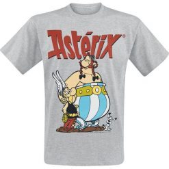 T-shirty męskie: Asterix Asterix und Obelix T-Shirt odcienie szarego