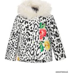 Kurtka Panther Flower Fur. Szare kurtki dziewczęce Pakamera, eleganckie. Za 250,00 zł.