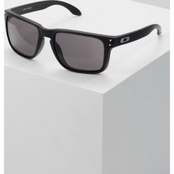 Oakley HOLBROOK XL Okulary przeciwsłoneczne warm grey. Szare sportowe okulary przeciwsłoneczne damskie Oakley. Za 509,00 zł.