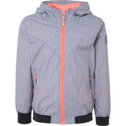 Icepeak TEELA Kurtka hardshell light grey. Szare kurtki sportowe damskie marki Icepeak, z poliesteru, sportowe. Za 249,00 zł.