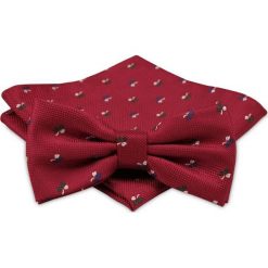 Modna Mucha Męska - Alties - Deseń Kwiatowy, Kolor Czerwony MUALTS0296. Czerwone muszki męskie Alties, na imprezę, w paski, eleganckie. Za 39,00 zł.