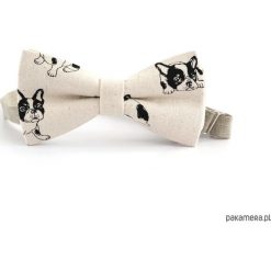 Dogue. Lniana mucha w buldogi. Szare muchy męskie Pakamera, eleganckie. Za 69,00 zł.