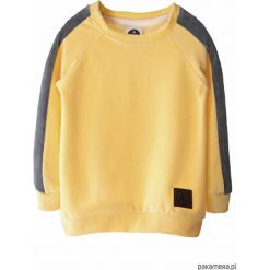 Bluza VELOUR yellow. Żółte bluzy chłopięce rozpinane marki Pakamera, z dzianiny. Za 91,00 zł.